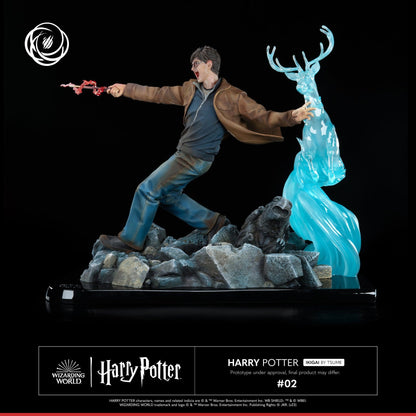 Harry Potter IKIGAI 1/6 Statue (30 cm)