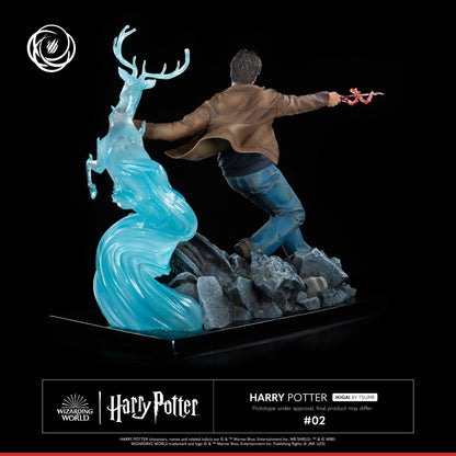 Harry Potter IKIGAI 1/6 Statue (30 cm)