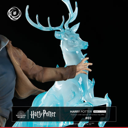 Harry Potter IKIGAI 1/6 Statue (30 cm)