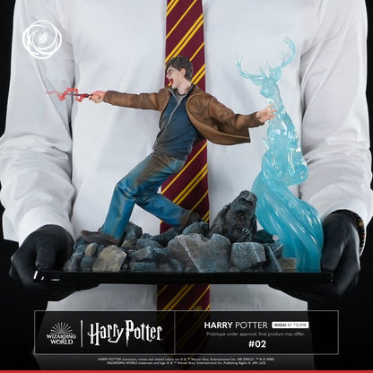 Harry Potter IKIGAI 1/6 Statue (30 cm)