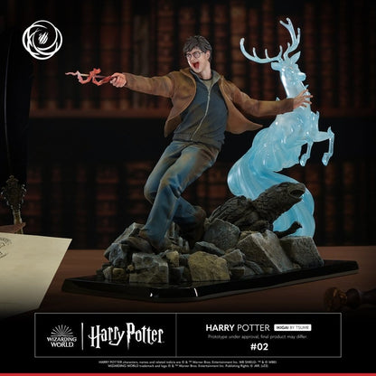 Harry Potter IKIGAI 1/6 Statue (30 cm)